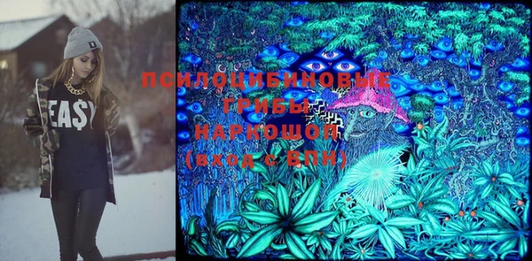 Альфа ПВП Кукмор