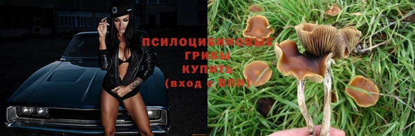 Альфа ПВП Кукмор