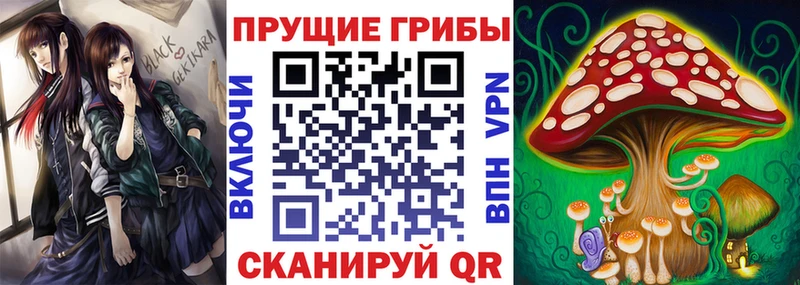 Купить где  Аткарск  Псилоцибиновые грибы мухоморы 